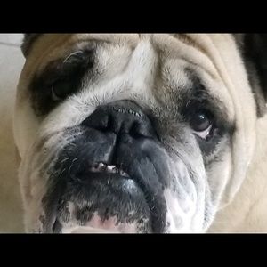 Meet your Posher, Stacey